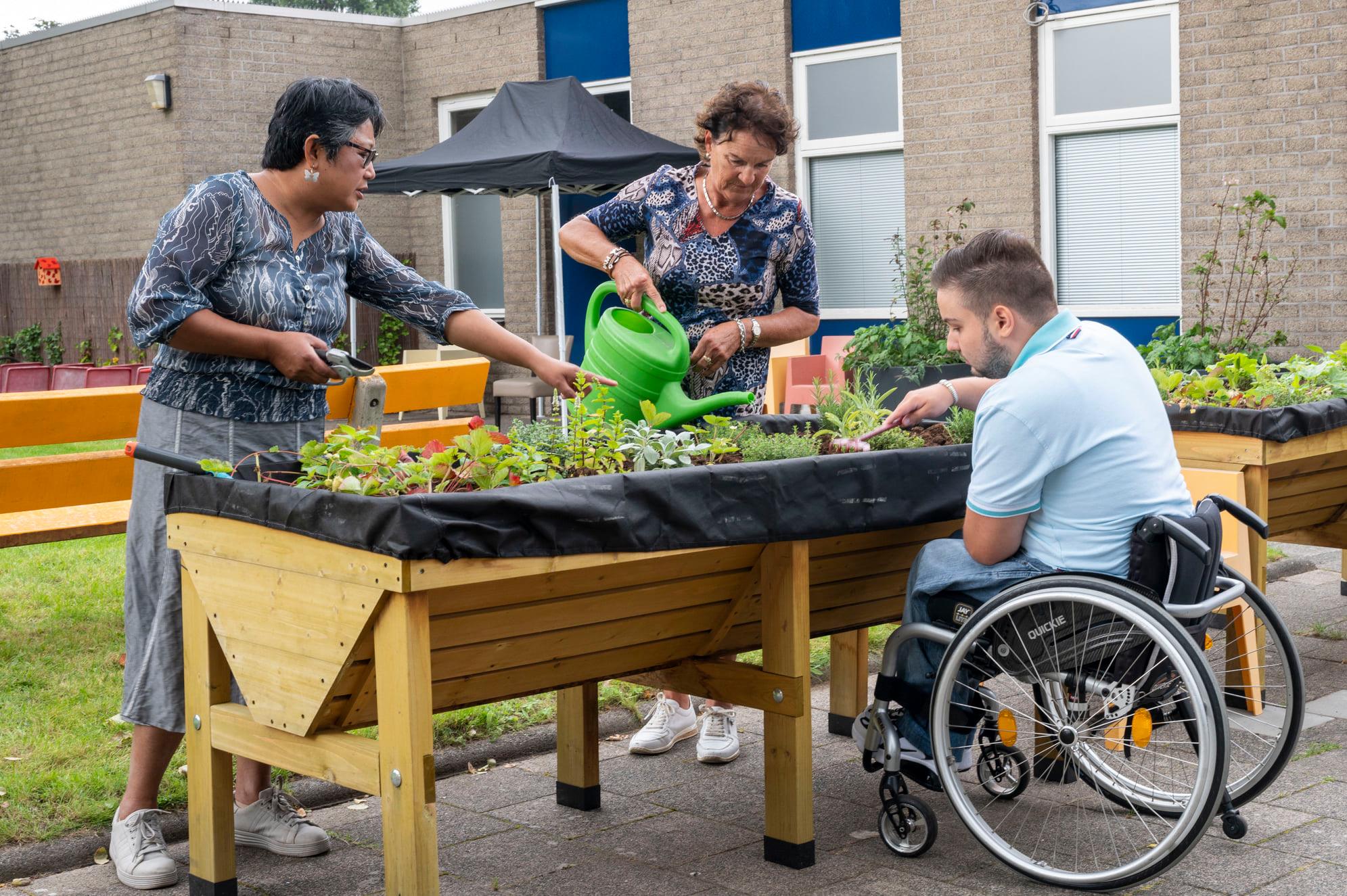 De kracht van… onze Welzijnsopdracht in Hoek van Holland